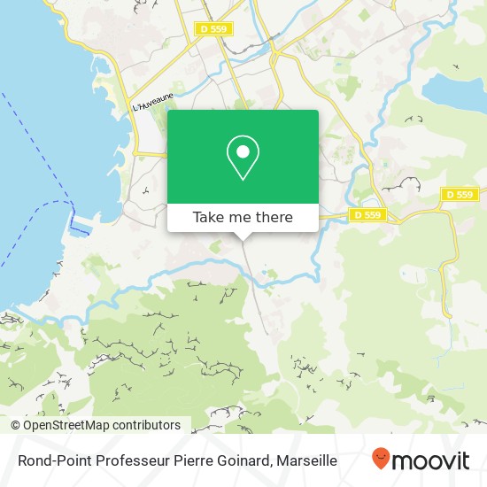 Rond-Point Professeur Pierre Goinard map