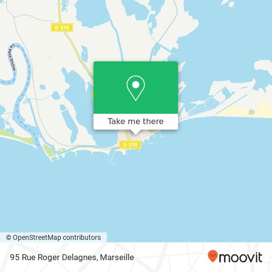 95 Rue Roger Delagnes map