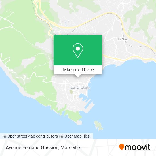 Avenue Fernand Gassion map