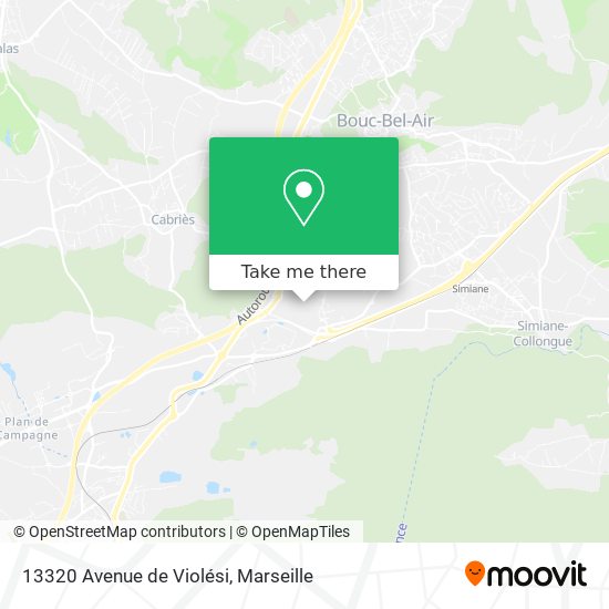 13320 Avenue de Violési map