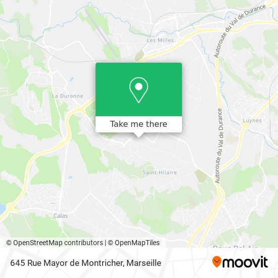 645 Rue Mayor de Montricher map