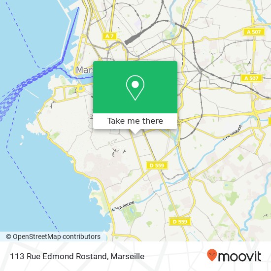 113 Rue Edmond Rostand map