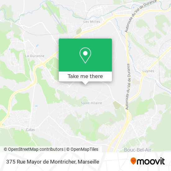 375 Rue Mayor de Montricher map