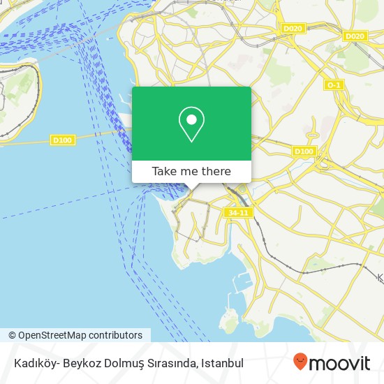 Kadıköy- Beykoz Dolmuş Sırasında map