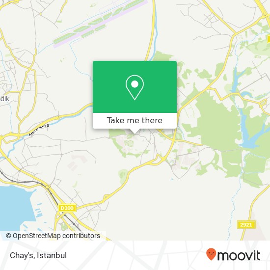 Chay's map