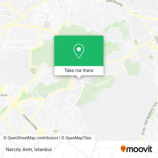 Narcity Avm map