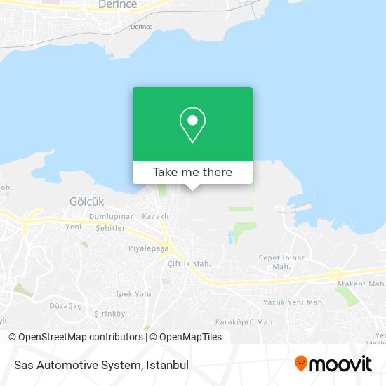 Sas Automotive System map