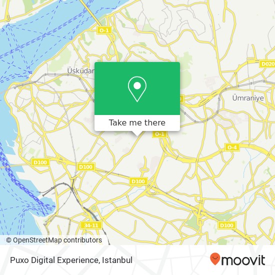 Puxo Digital Experience map