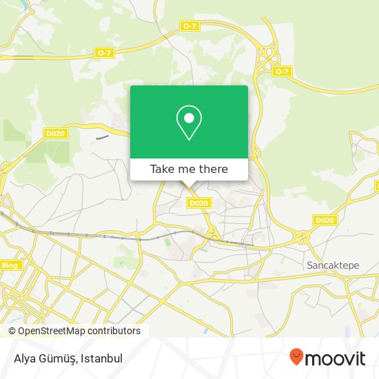 Alya Gümüş map