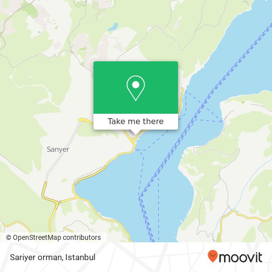 Sariyer orman map