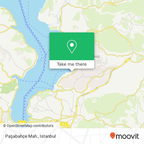 Paşabahçe Mah. map