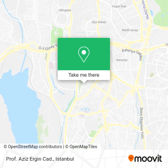 Prof. Aziz Ergin Cad. map