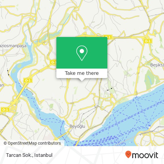 Tarcan Sok. map