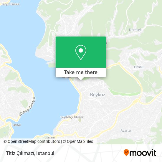 Titiz Çıkmazı map