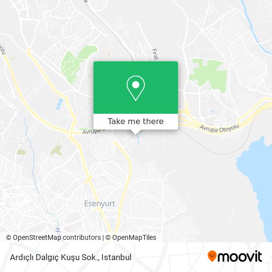 Ardıçlı Dalgıç Kuşu Sok. map