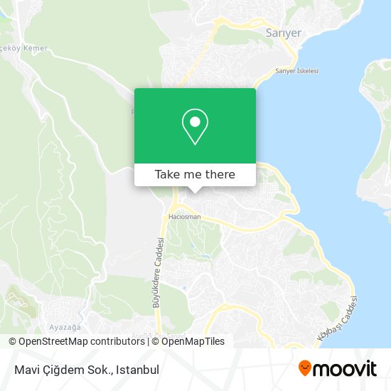 Mavi Çiğdem Sok. map