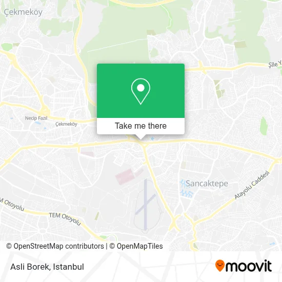Asli Borek map