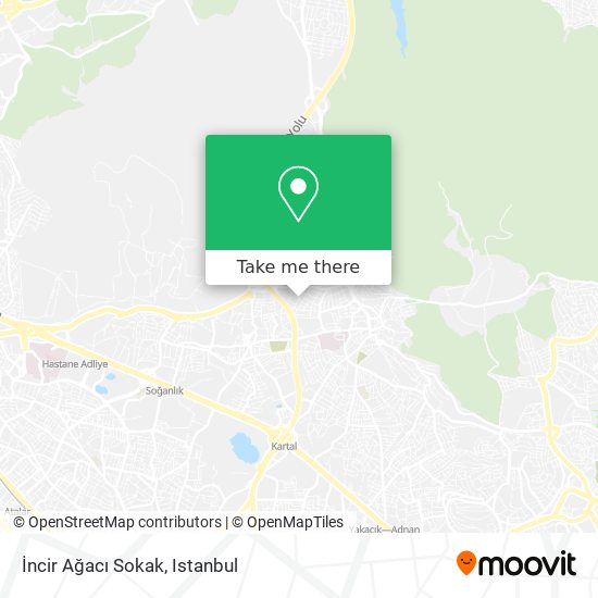 İncir Ağacı Sokak map