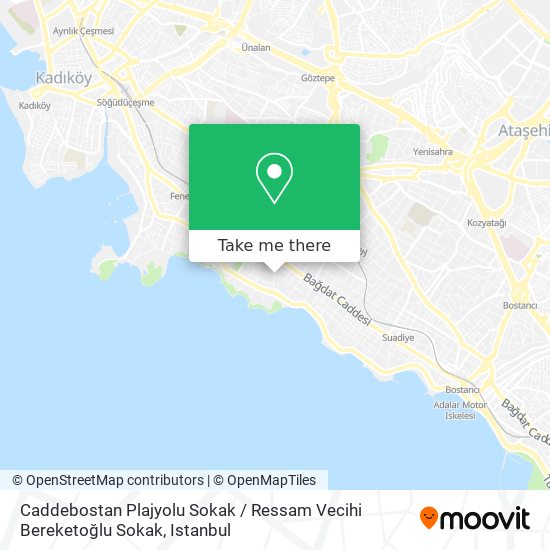 Caddebostan Plajyolu Sokak / Ressam Vecihi Bereketoğlu Sokak map