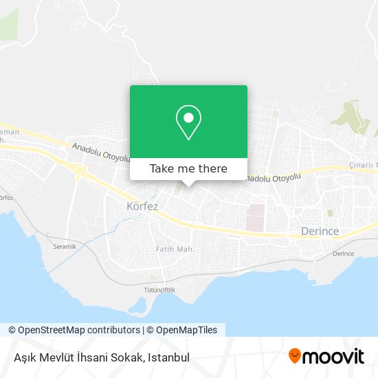 Aşık Mevlüt İhsani Sokak map