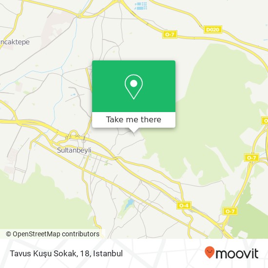 Tavus Kuşu Sokak, 18 map