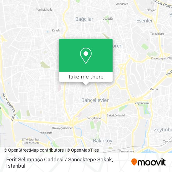 Ferit Selimpaşa Caddesi / Sancaktepe Sokak map