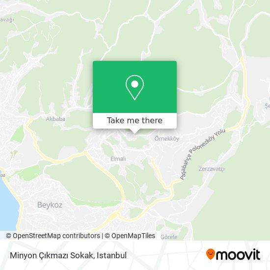 Minyon Çıkmazı Sokak map
