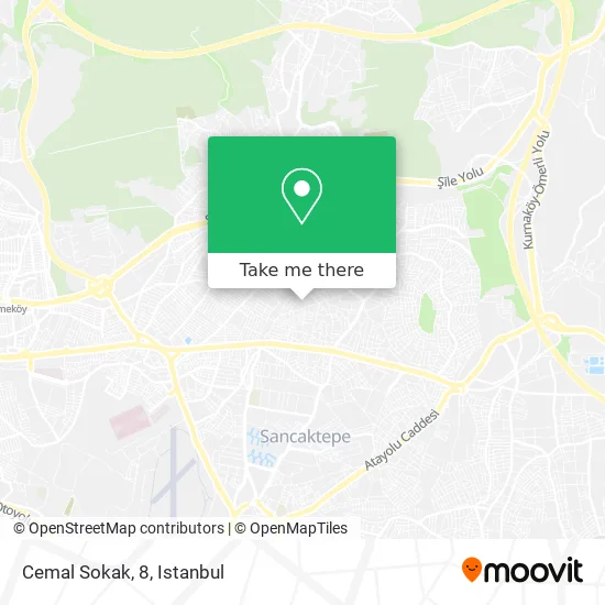 Cemal Sokak, 8 map