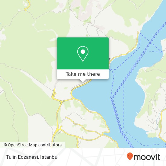 Tulin Eczanesi map