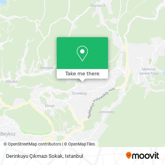 Derinkuyu Çıkmazı Sokak map
