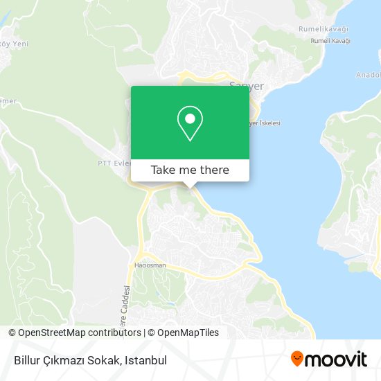 Billur Çıkmazı Sokak map