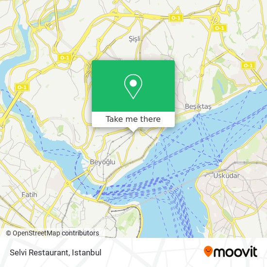 Selvi Restaurant map