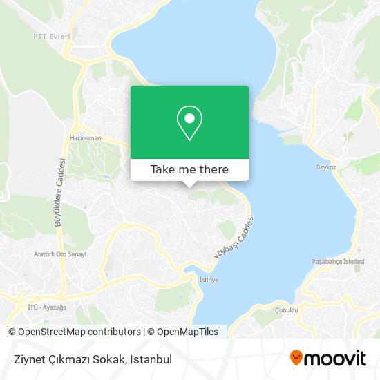 Ziynet Çıkmazı Sokak map