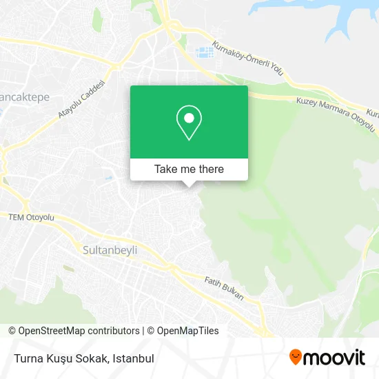 Turna Kuşu Sokak map