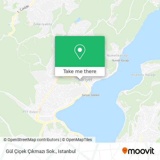 Gül Çiçek Çıkmazı Sok. map