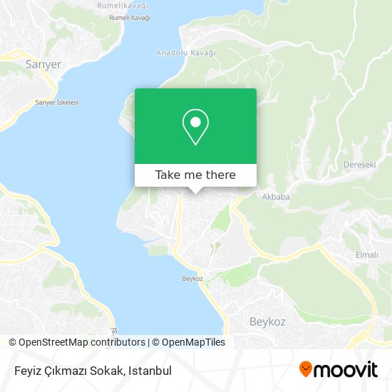 Feyiz Çıkmazı Sokak map