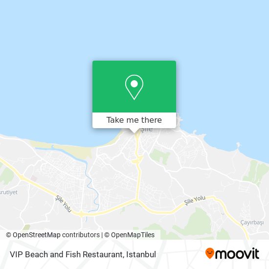 VIP Beach and Fish Restaurant map