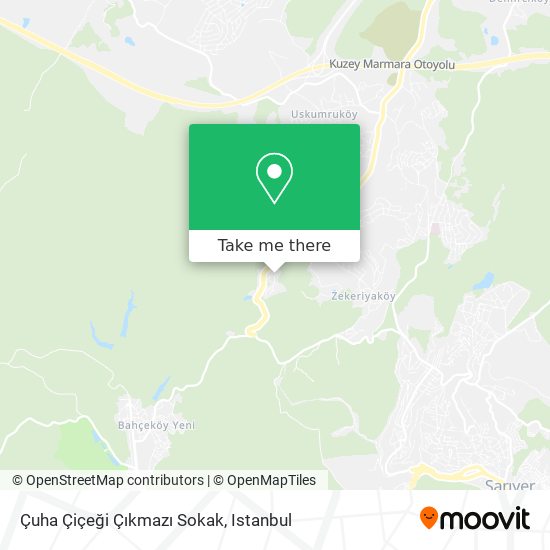 Çuha Çiçeği Çıkmazı Sokak map