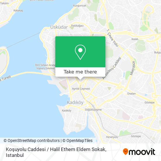 Koşuyolu Caddesi / Halil Ethem Eldem Sokak map