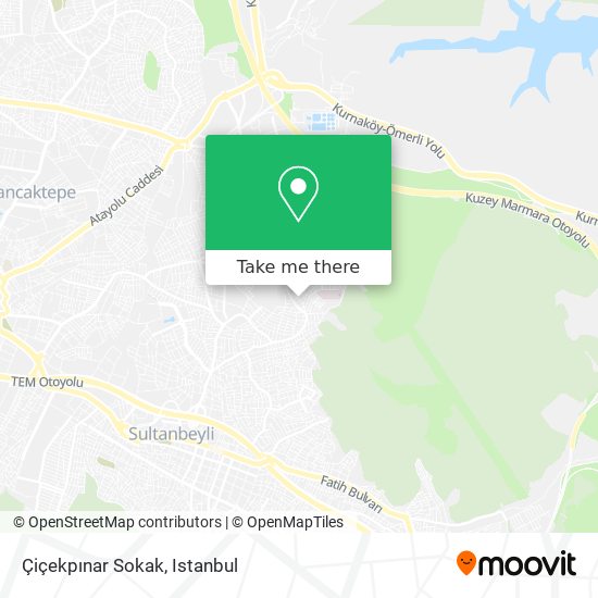 Çiçekpınar Sokak map