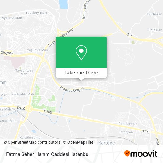 Fatma Seher Hanım Caddesi map