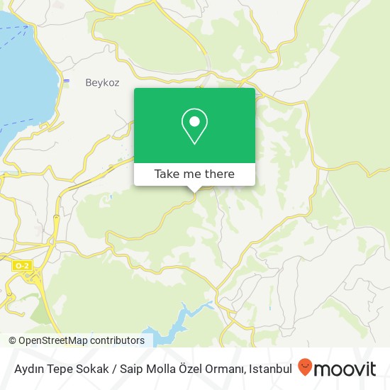 Aydın Tepe Sokak / Saip Molla Özel Ormanı map