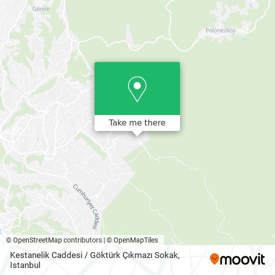 Kestanelik Caddesi / Göktürk Çıkmazı Sokak map