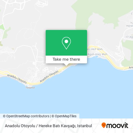 Anadolu Otoyolu / Hereke Batı Kavşağı map
