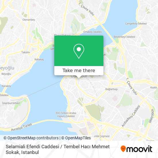 Selamiali Efendi Caddesi / Tembel Hacı Mehmet Sokak map