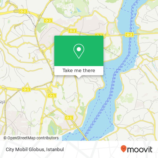 City Mobil Globus map