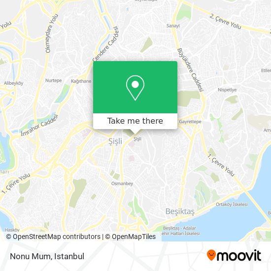 how to get to nonu mum in sisli by bus metro or cable car