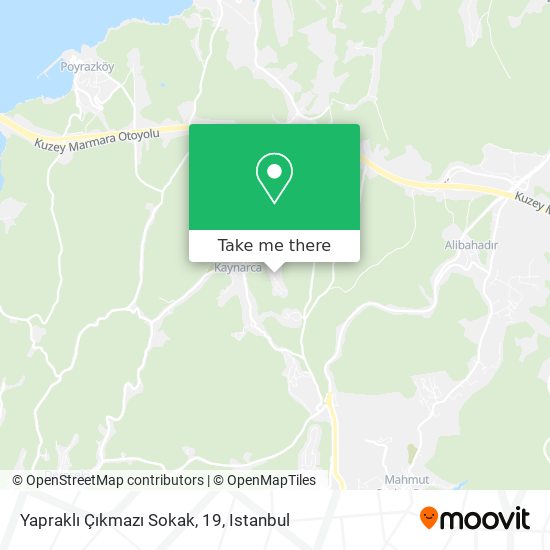 Yapraklı Çıkmazı Sokak, 19 map