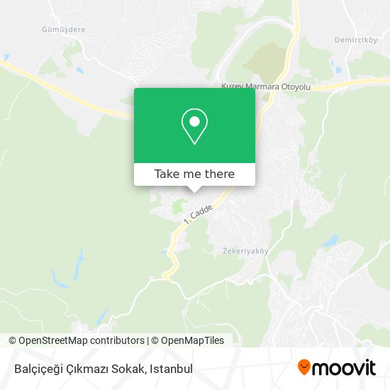 Balçiçeği Çıkmazı Sokak map