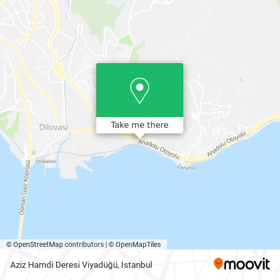 Aziz Hamdi Deresi Viyadüğü map